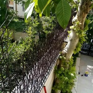 حفاظ شاخ گوزنی آهنی در مریوان