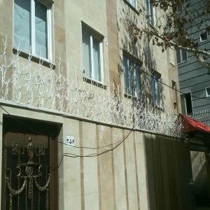 حفاظ شاخ گوزنی آهنی در یاسوج