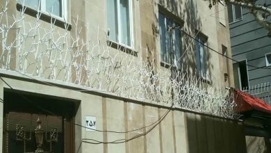 حفاظ شاخ گوزنی آهنی در یاسوج