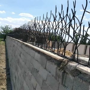 حفاظ شاخ گوزنی در بندرعباس