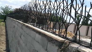 حفاظ شاخ گوزنی در بندرعباس