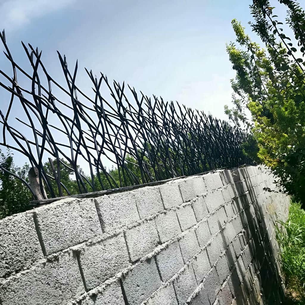 حفاظ شاخ گوزنی با فرم بازدارنده در لبه دیوار