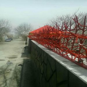 حفاظ شاخ گوزنی در استان خوزستان