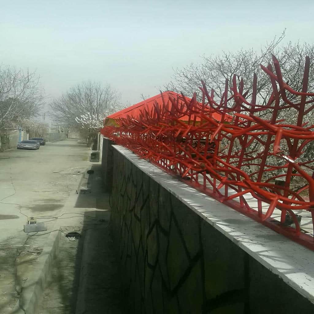 حفاظ شاخ گوزنی در استان خوزستان
