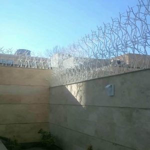 حفاظ شاخ گوزنی آهنی در کیش