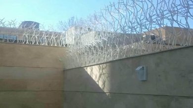 حفاظ شاخ گوزنی آهنی در کیش