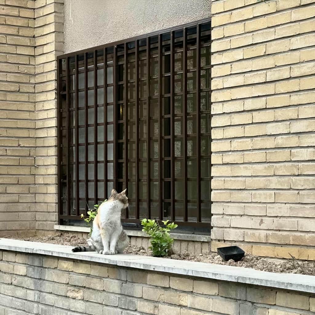 فروش حفاظ نرده پنجره مدرن در مهرشهر کرج