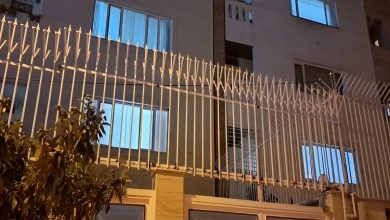 حفاظ شاخ گوزنی و حفاظ سرنیزه ای با مقایسه تراکم شاخه ها