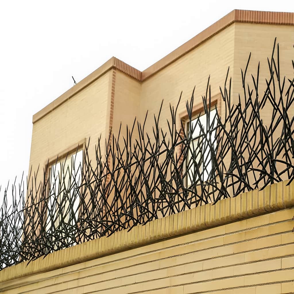 خرید حفاظ بوته ای دیوار پرتراکم با تراکم سفارشی