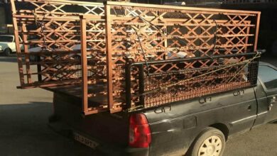 8 طرح حفاظ آکاردئونی کم جا راهرو