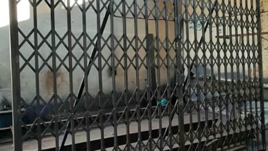 9 طرح درب آکاردئونی طلایی سلطنتی
