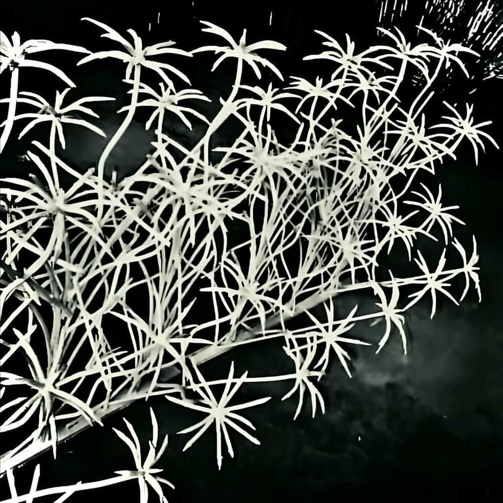 مزایای نرده حفاظ دیوار آهنی