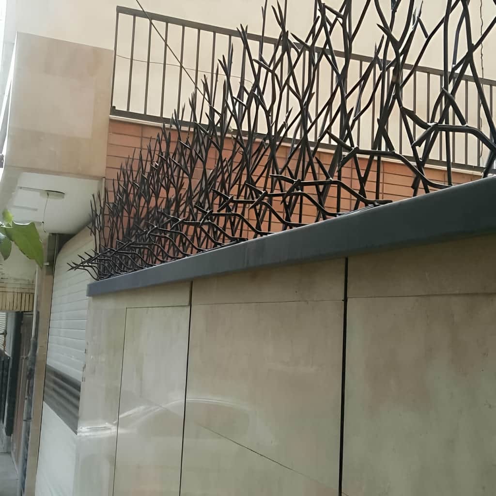 حفاظ شاخ گوزنی با تراکم شاخه یکنواخت