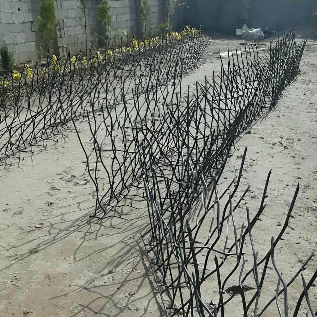 حفاظ شاخ گوزنی طرح اف آماده اجرای تخصصی