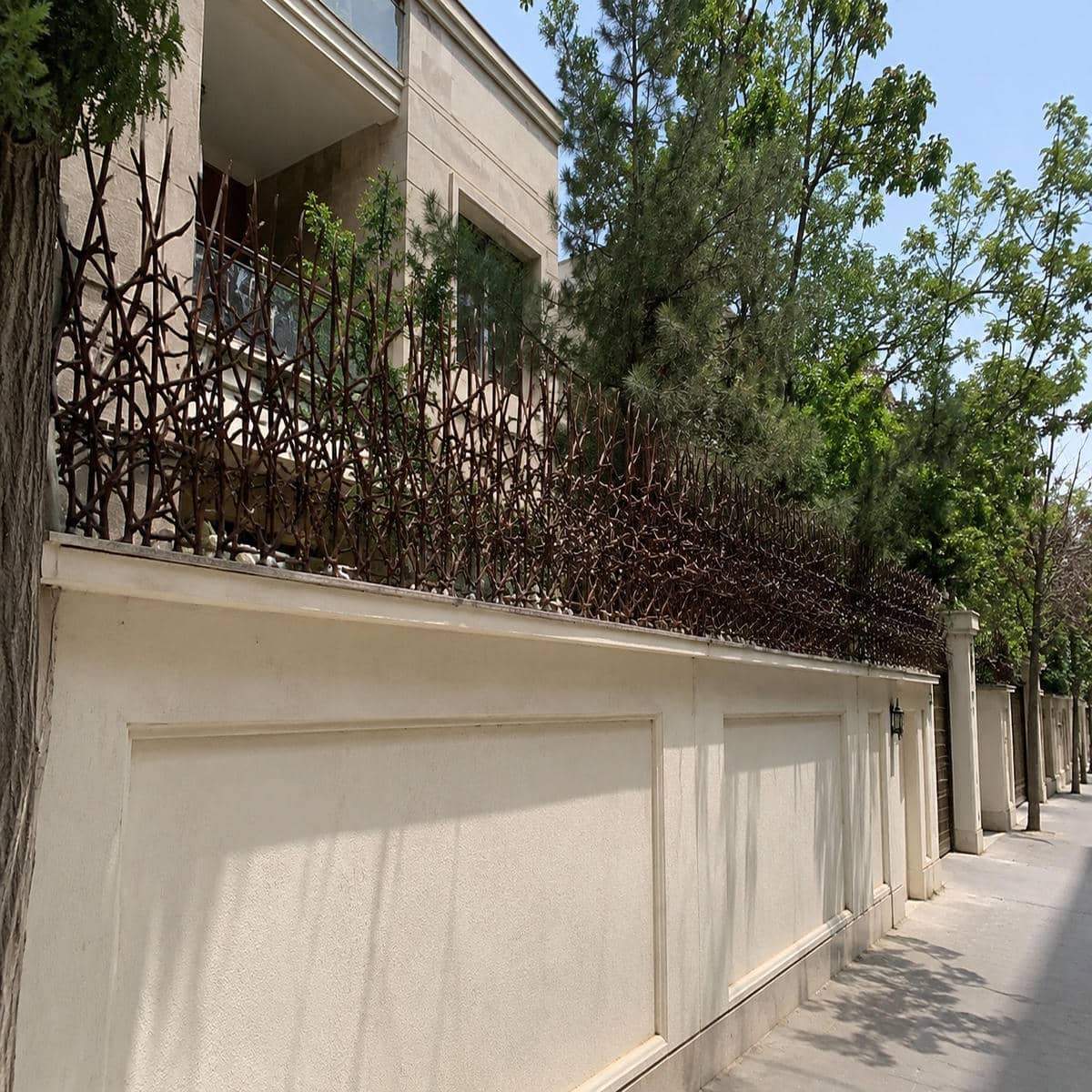 حفاظ شاخ گوزنی آبشاری با شاخه های منظم