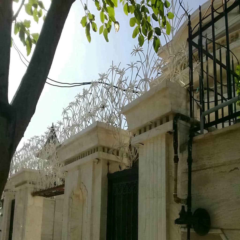حفاظ نخل مرداب با شاخه های فلزی خاص