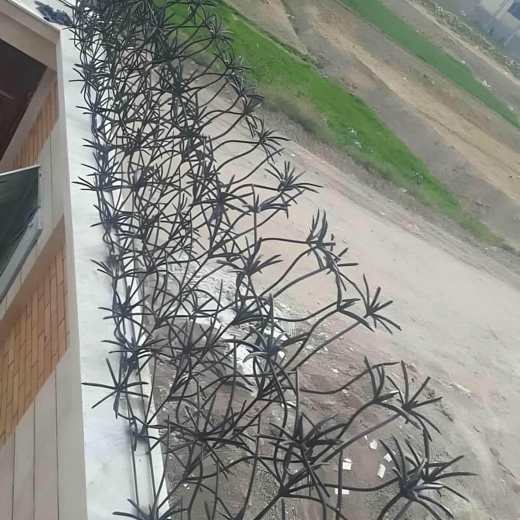 حفاظ نخل مرداب با رنگ هماهنگ نما حفاظ نخل مرداب با رنگ هماهنگ نما